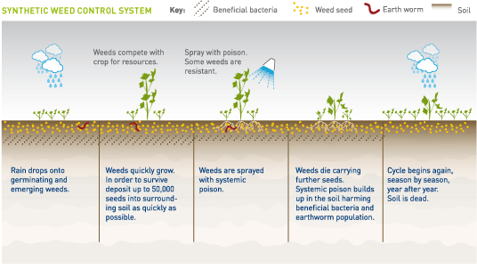 Normal Weed Control System